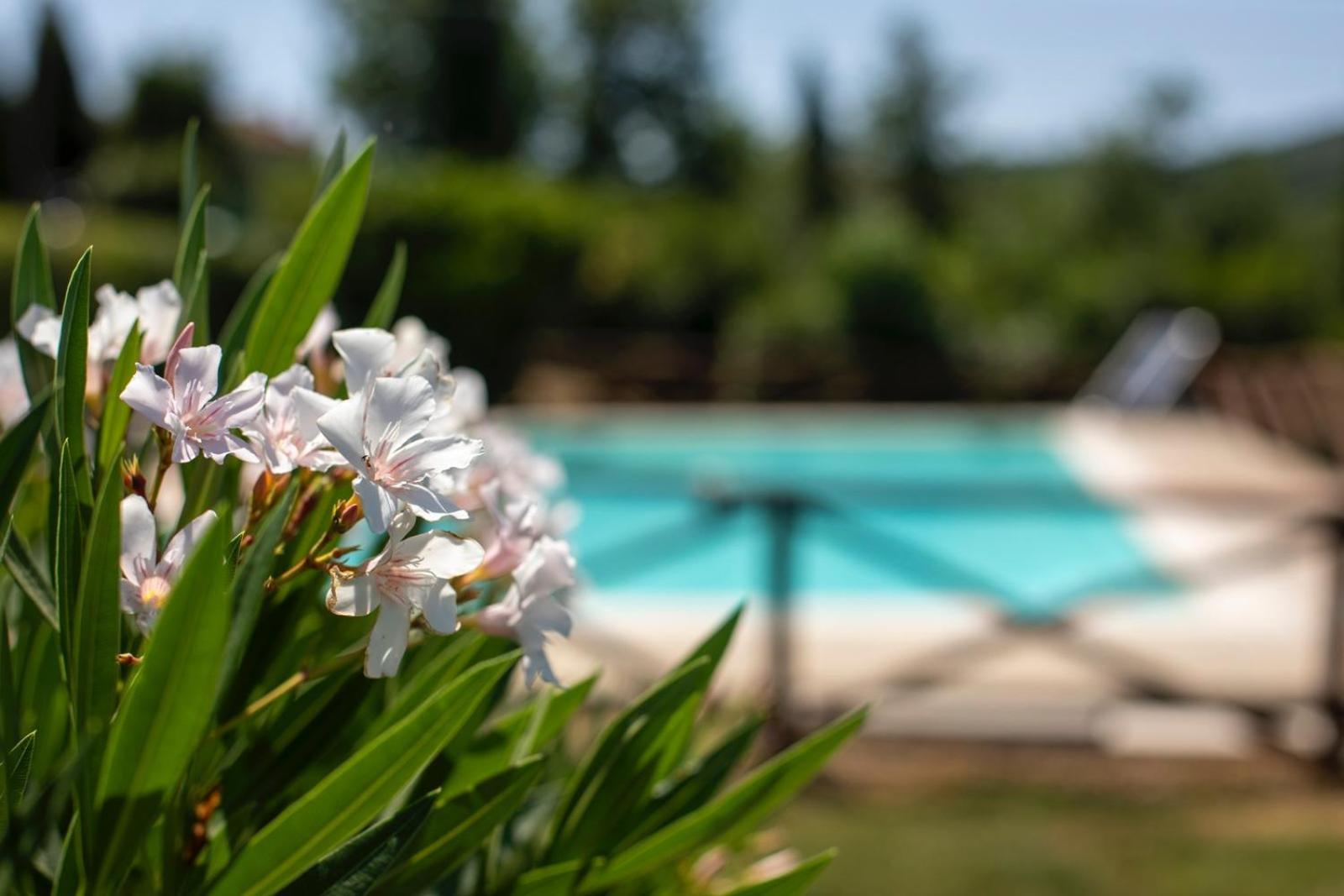 Agriturismo Podere Acqualoreto Экстерьер фото